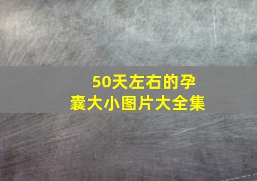 50天左右的孕囊大小图片大全集