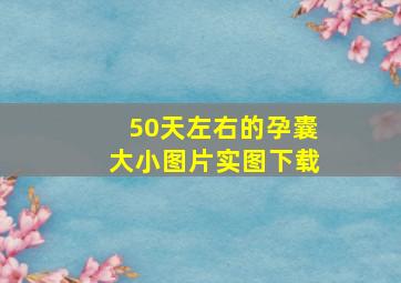 50天左右的孕囊大小图片实图下载