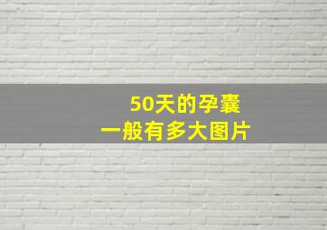 50天的孕囊一般有多大图片