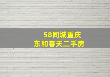 58同城重庆东和春天二手房