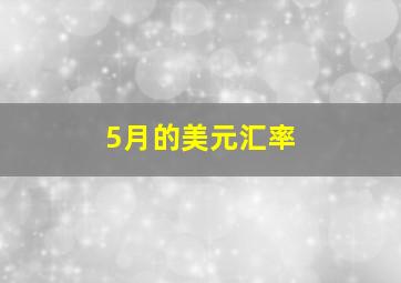 5月的美元汇率