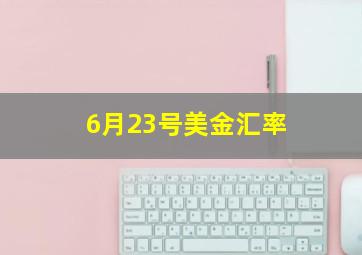 6月23号美金汇率