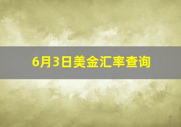 6月3日美金汇率查询