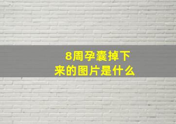 8周孕囊掉下来的图片是什么