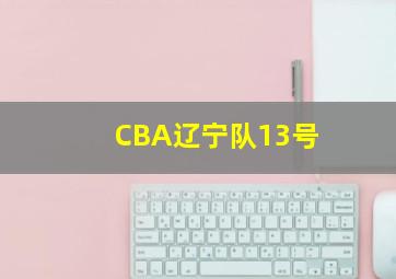 CBA辽宁队13号