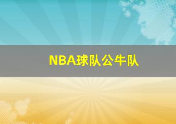 NBA球队公牛队