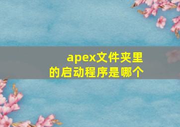 apex文件夹里的启动程序是哪个