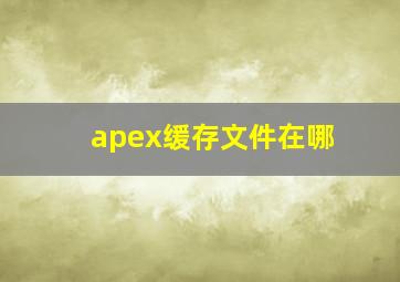 apex缓存文件在哪