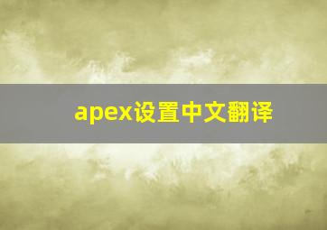 apex设置中文翻译