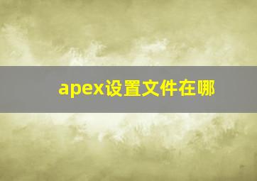 apex设置文件在哪