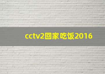 cctv2回家吃饭2016