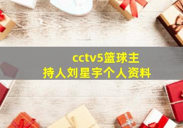 cctv5篮球主持人刘星宇个人资料