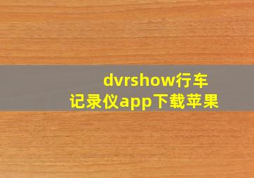 dvrshow行车记录仪app下载苹果