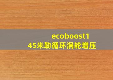 ecoboost145米勒循环涡轮增压