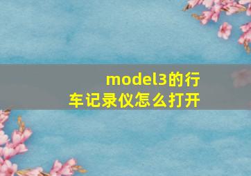 model3的行车记录仪怎么打开