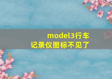 model3行车记录仪图标不见了