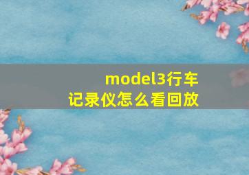 model3行车记录仪怎么看回放