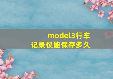 model3行车记录仪能保存多久