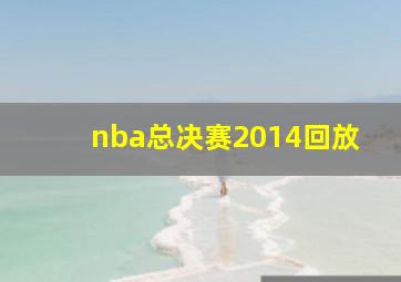 nba总决赛2014回放