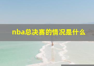 nba总决赛的情况是什么