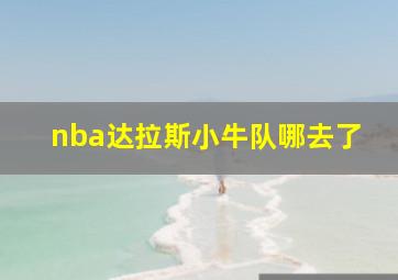 nba达拉斯小牛队哪去了