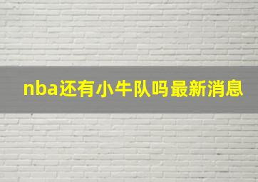 nba还有小牛队吗最新消息