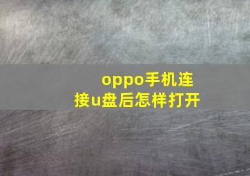 oppo手机连接u盘后怎样打开