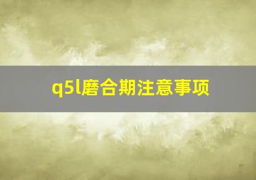 q5l磨合期注意事项