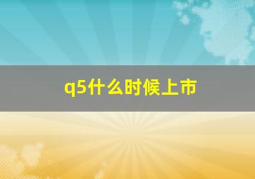 q5什么时候上市