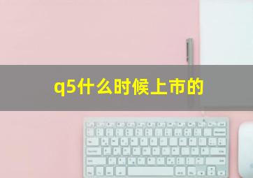 q5什么时候上市的