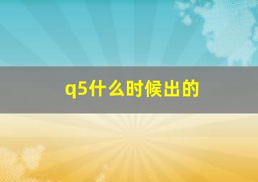 q5什么时候出的