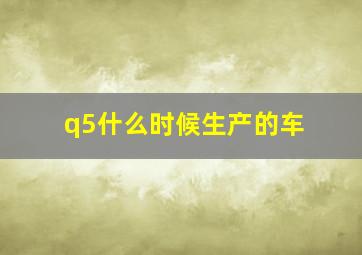 q5什么时候生产的车