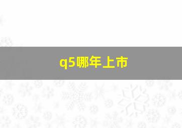 q5哪年上市