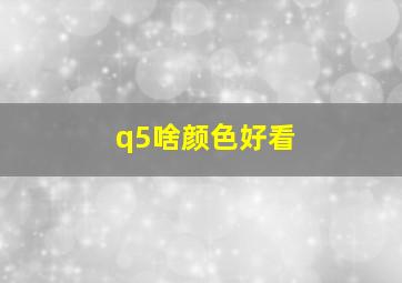 q5啥颜色好看