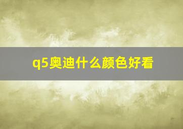 q5奥迪什么颜色好看