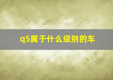 q5属于什么级别的车