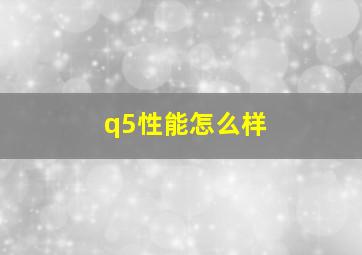 q5性能怎么样