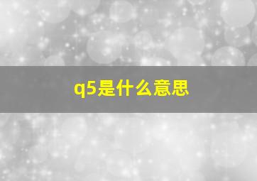 q5是什么意思