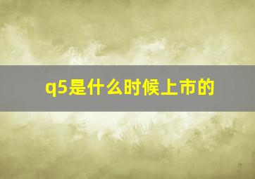 q5是什么时候上市的