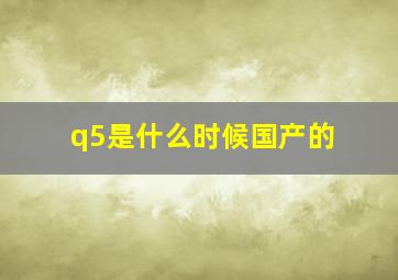 q5是什么时候国产的