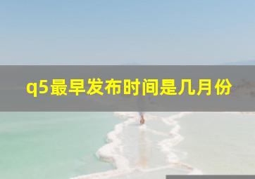 q5最早发布时间是几月份