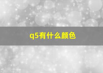 q5有什么颜色