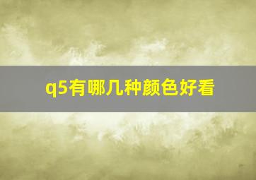 q5有哪几种颜色好看