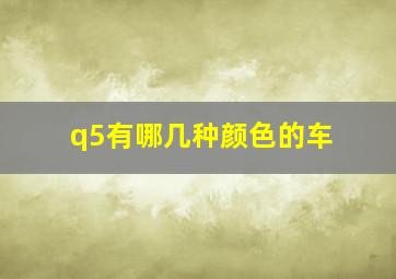 q5有哪几种颜色的车