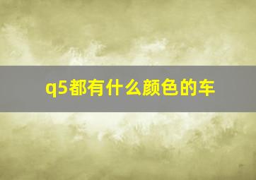 q5都有什么颜色的车