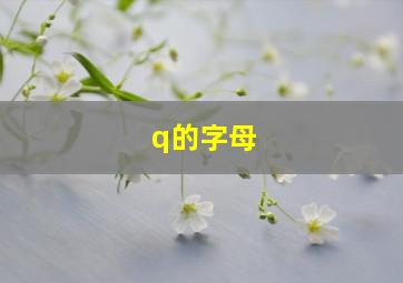 q的字母