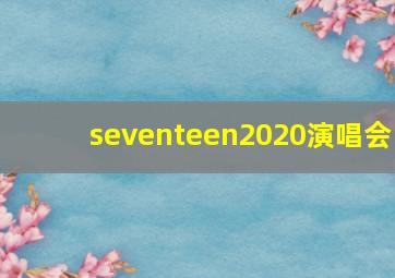 seventeen2020演唱会