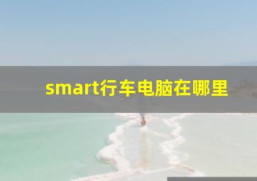 smart行车电脑在哪里