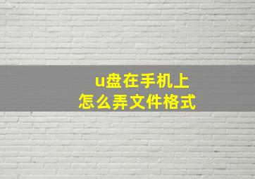 u盘在手机上怎么弄文件格式