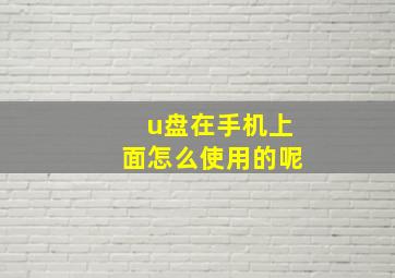 u盘在手机上面怎么使用的呢